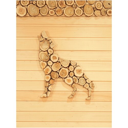 ���� ����� �� ������������� 