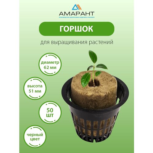 ���� ������ ������� ��� ������� 50 �� ������, ������ �� 351 ���