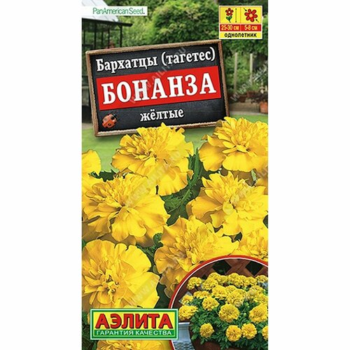      , () 7 PanAmerican,   59 