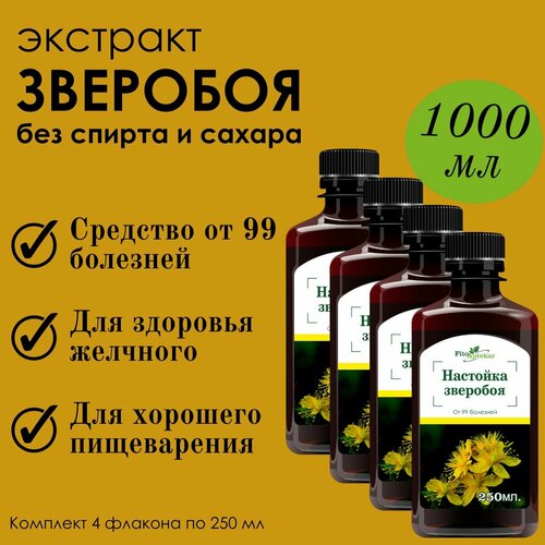 ���� �������� �������� 