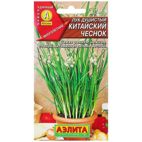 ���� ������ ��� �������� 