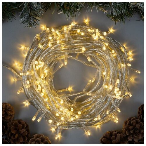 ���� �������� 