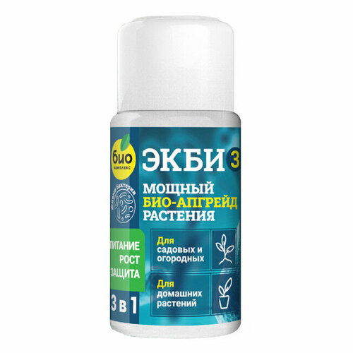 ���� ���-�������� 