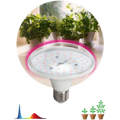 ���� ����� ��������� ���� 18�� �27 ������-������ ������� FITO-18W-RB-E27 ���, ������ �� 1016 ���