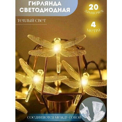 ���� �������� �������� 4 �����, ������ �� 585 ���