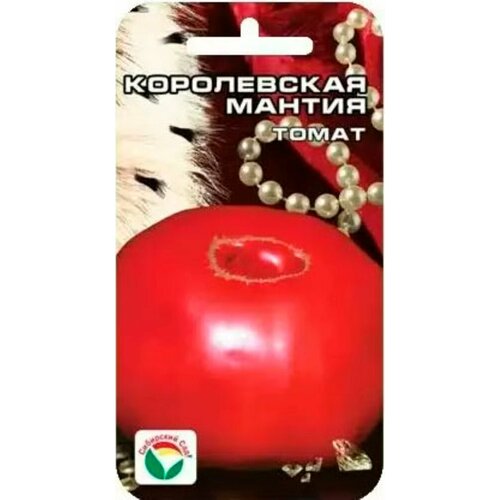 ���� ������ ����� ����������� ������ 20�� ����� (��������� ���), ������ �� 45 ���