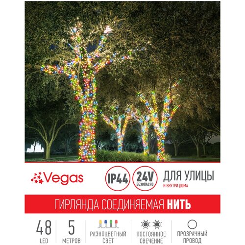 ���� �������� Vegas ����������� ����, 1 ��. � ������, 5 �, �����������/���������� ������, ������ �� 883 ���