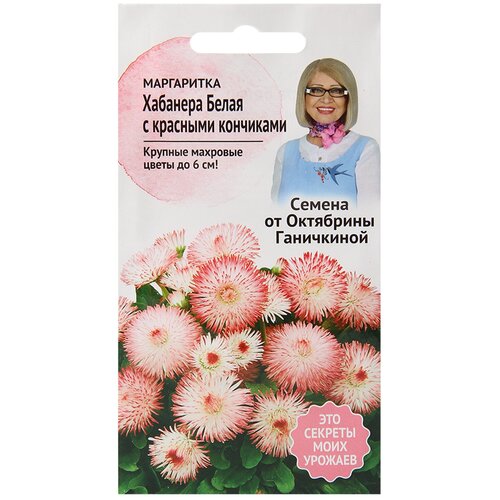 ���� ���������� F1 �������� ����� � �������� ��������� 5 �� , ������ ����������� ������, ������ �� 297 ���