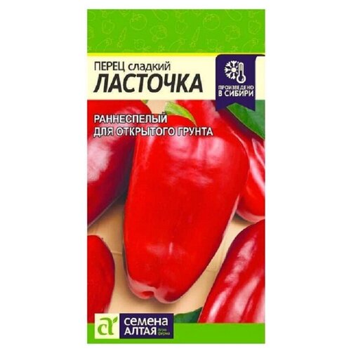 ���� ������ ����� 