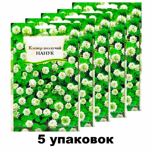 ���� ������� 