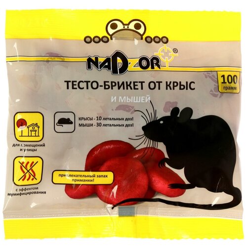 ���� �����-������ �� ���� � ����� NADZOR, 100 ��, ������ �� 99 ���