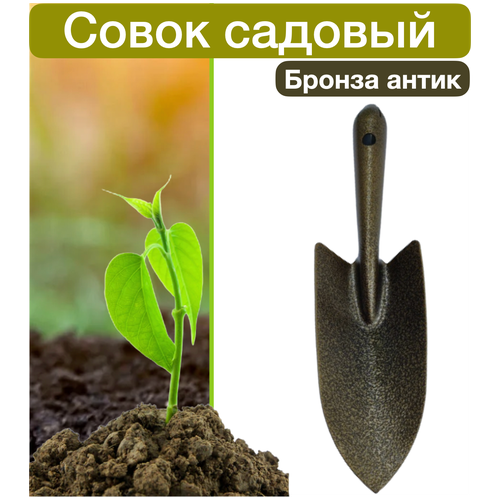 ���� ����� �������, ������ �� 189 ���