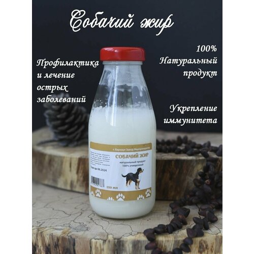 ���� ������� ��� 250 ��., ������ �� 787 ���