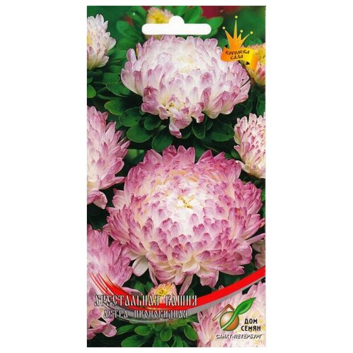 ���� ����� ����������� ����������� �����, 80 �����, ������ �� 562 ���