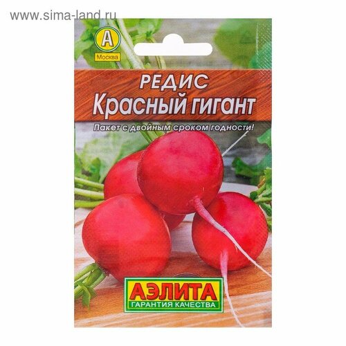 ���� ������ ����� ������� ������ 3� (������), ������ �� 44 ���