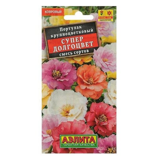 ���� ������ ������ �������� �������� 