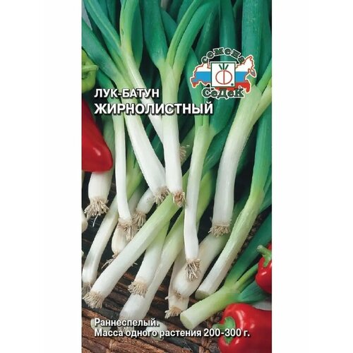 ���� ��� ����� 