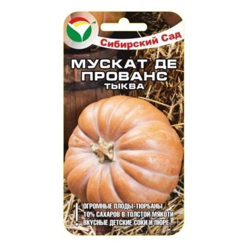 ���� ������ �� ������� F1 5�� ����� (��� ���), ������ �� 39 ���