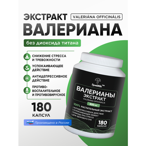 ���� ������ ��������� ��������� ������� 180 �� �� 500 ��, ������ �� 1319 ���