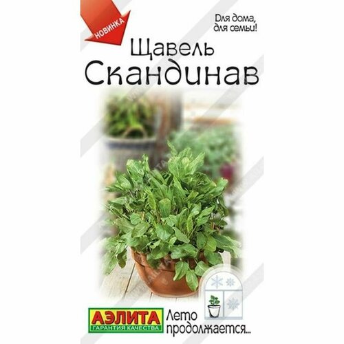 ���� ������ ������ ��������� (������) 0,5� ���� ������������, ������ �� 42 ���