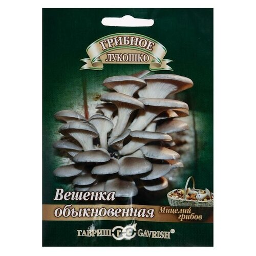 ���� ������� ������ ������� ������������ �� ��������� ������� 12 ��./ ������ ������, ������ �� 176 ���