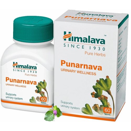 ���� ��������� (Punarnava) ��� ����� � ������ 60���, ������ �� 570 ���