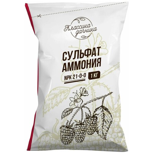 ���� ������� �������. 1 ��, ������ �� 295 ���