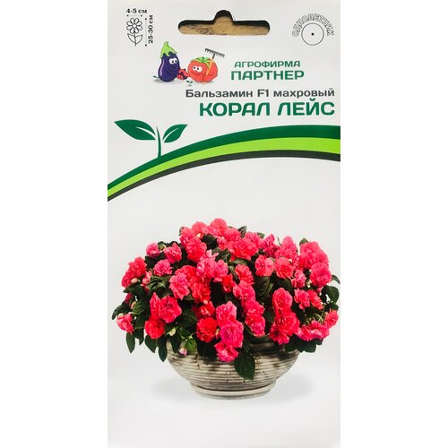 ���� ������ ���������� F1 ������� ��������� 