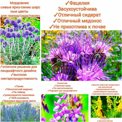     150/, (++++) 150, premium,   673 