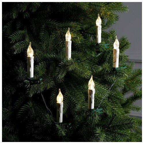 ���� �������� 