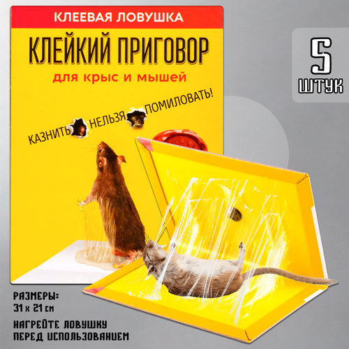 ���� ��������� ��� �����, ������� ������� ��� ���������, ��� ��������, ������� ��������, ������� �������, ������, 5 ����, ������ �� 671 ���