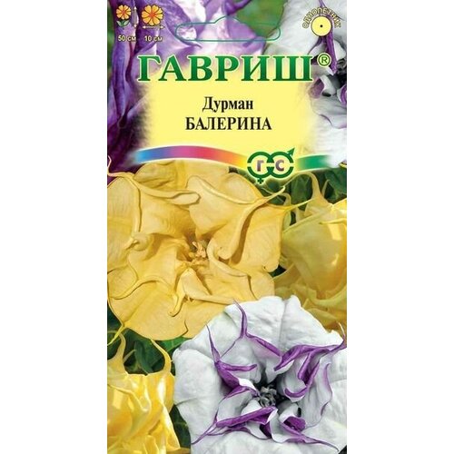 ���� ������ ������ �������� ����� ���� 3�� ��� 30 �� (������), ������ �� 82 ���