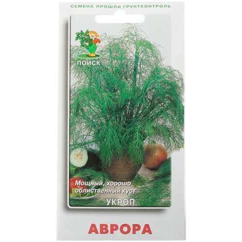 ���� ������ ������ ����� ������ 2 �, ������ �� 40 ���