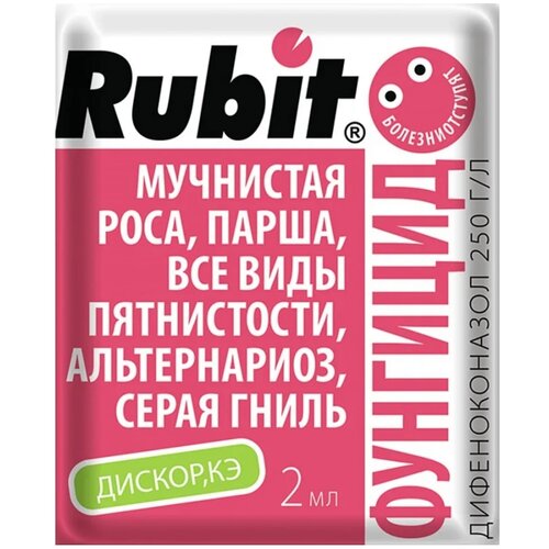 ���� Rubit �������� �� �������� �������� ������, 2 ��, 2 �, ������ �� 173 ���
