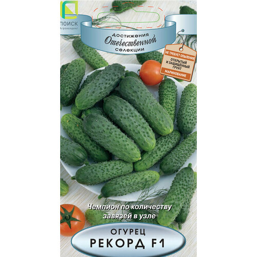 ���� ������ ������ ������ F1 12�� ������������������ ������ (�����), ������ �� 60 ���