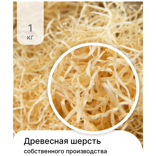 ���� ��������� ������, ����������� ���������, ����������� ��� �������� 1��, ������ �� 669 ���