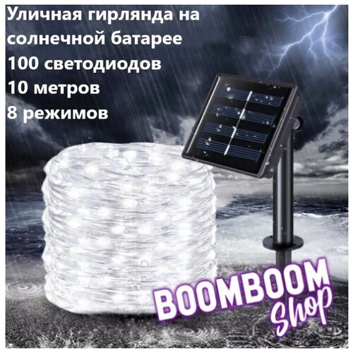 ���� ������������ �������� ���� ����� �� ��������� ������� 100 ���� 10 ������ 8 �������, ������ �� 650 ���