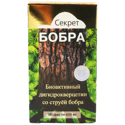 ���� ����� ����� ������ ����� ����������� ���������������� �� ����� �����, 48 �, 30 ��., ������ �� 532 ���