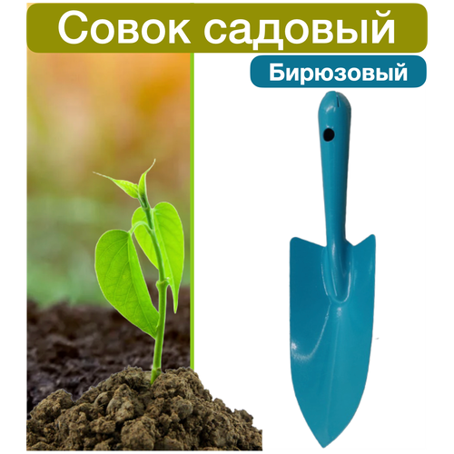 ���� ����� �������, ������ �� 209 ���