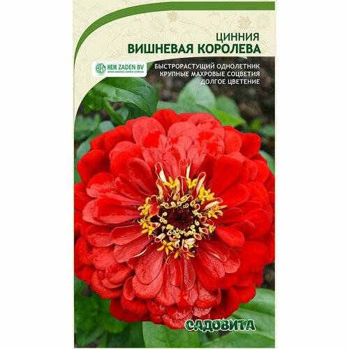 ���� ������ ������ 