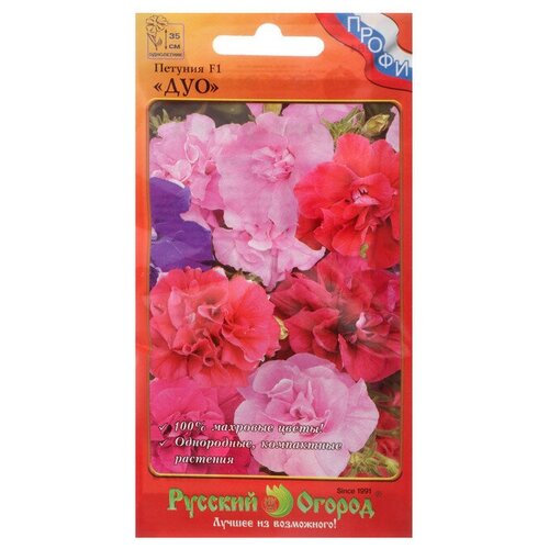 ���� ������. �����. ������� F1 ���, ��������� (12 ����), ������ �� 299 ���