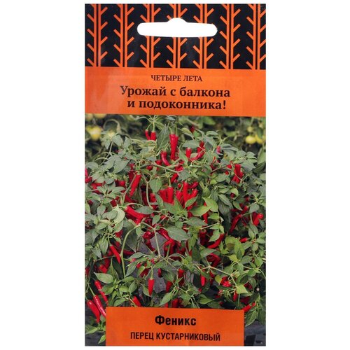 ���� ������ ����� ������ ���� ����� ������������� ������ ������ 5 ��., ������ �� 110 ���