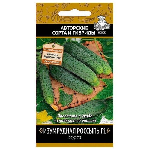 ���� ������ ����� ��������� ����� � ������� ������ ���������� ������� F1 12 ��., ������ �� 158 ���