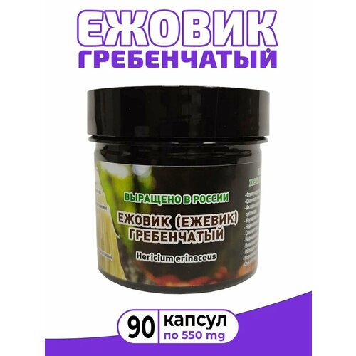 ���� ������ (������) ����������� /���� ������� ����� /Lions mane /�������� 90 ������ �� 550 ��, ������ �� 888 ���