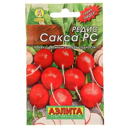 ���� ������ ����� 