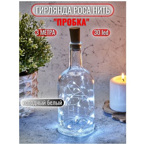 ���� �������� 