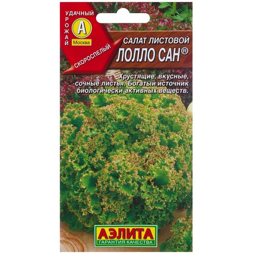 ���� ������ ����� �������� 