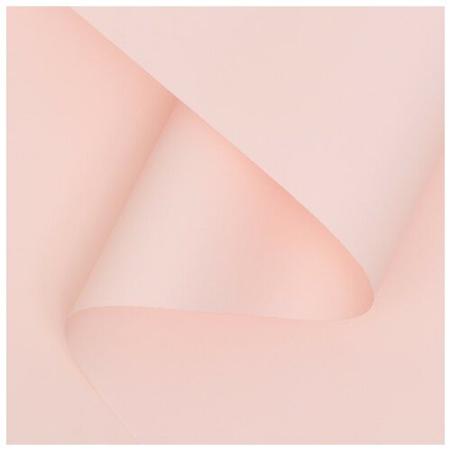 ���� ������ ����������� ����-���� 