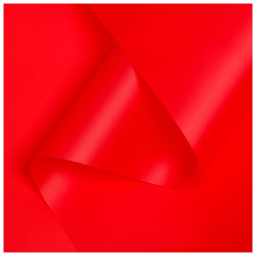 ���� ������ ����������� ����-���� 