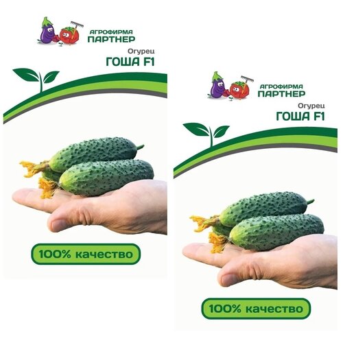 ���� ������ ������ ���� F1 /��������� �������/ 2 �������� �� 5 �����, ������ �� 480 ���